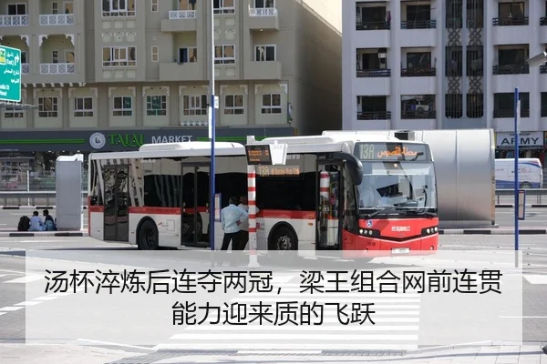 tang-bei-cui-lian-hou-lian-duo-liang-guan-liang-wang-zu-he-wang-qian-lian-guan-neng-li-ying-lai-zhi-di-fei-yue-3-930.jpg