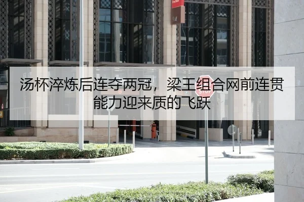 汤杯淬炼后连夺两冠，梁王组合网前连贯能力迎来质的飞跃