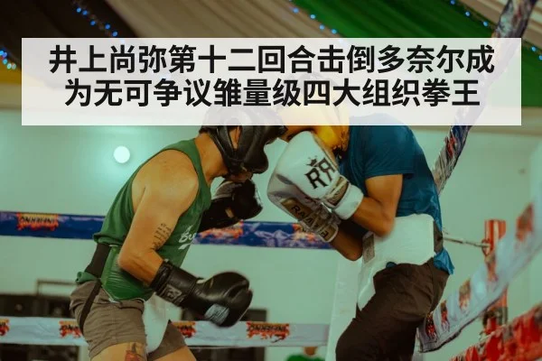 井上尚弥第十二回合击倒多奈尔成为无可争议雏量级四大组织拳王