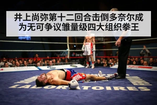 boxer knockout