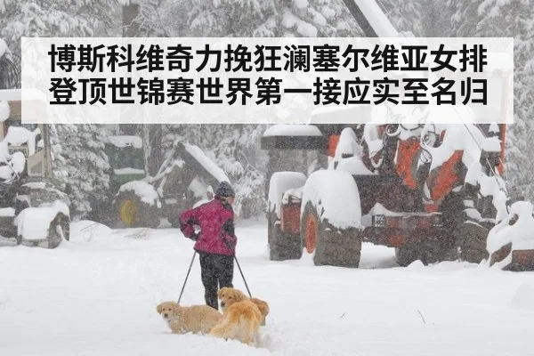 博斯科维奇力挽狂澜塞尔维亚女排登顶世锦赛世界第一接应实至名归