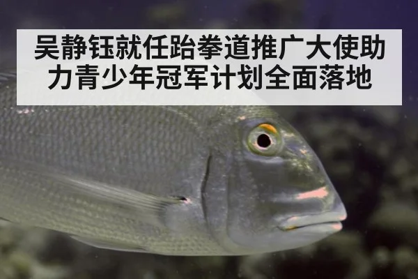 吴静钰就任跆拳道推广大使助力青少年冠军计划全面落地