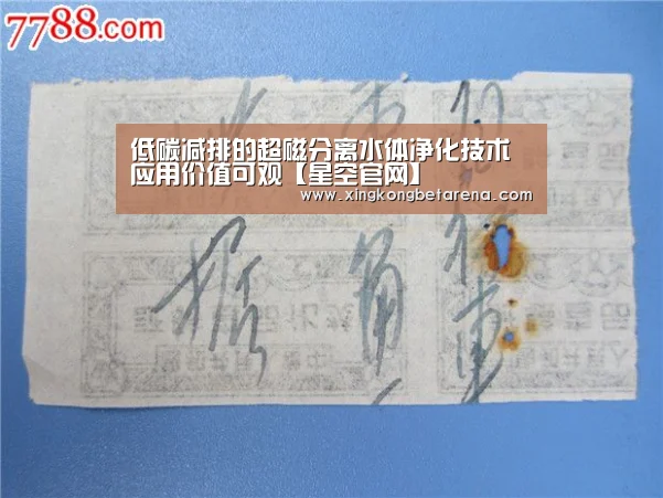 低碳减排的超磁分离水体净化技术应用价值可观【星空官网】(图1) 星空登录