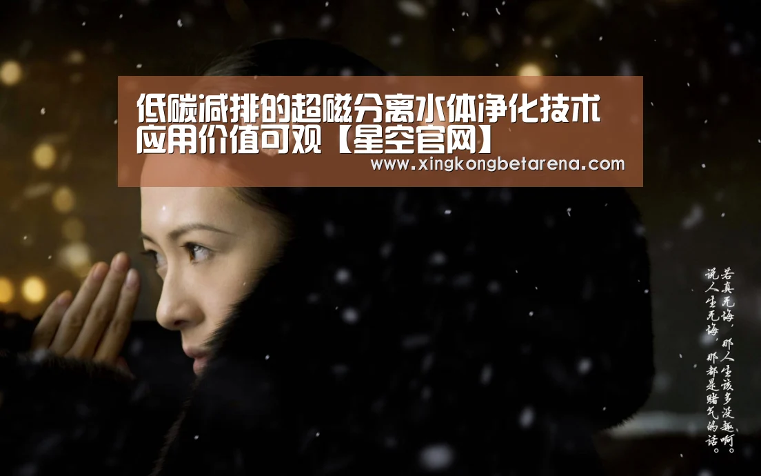 低碳减排的超磁分离水体净化技术应用价值可观【星空官网】(图3) 星空登录